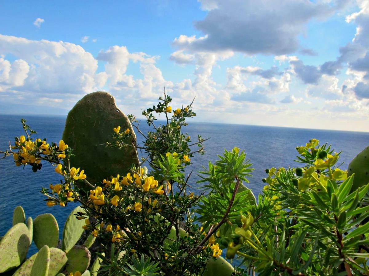 Casa Vacanze Miceli โตรเปอา ภายนอก รูปภาพ