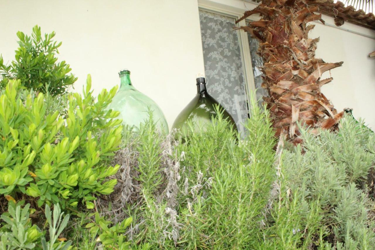 Casa Vacanze Miceli โตรเปอา ภายนอก รูปภาพ