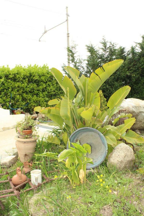 Casa Vacanze Miceli โตรเปอา ภายนอก รูปภาพ