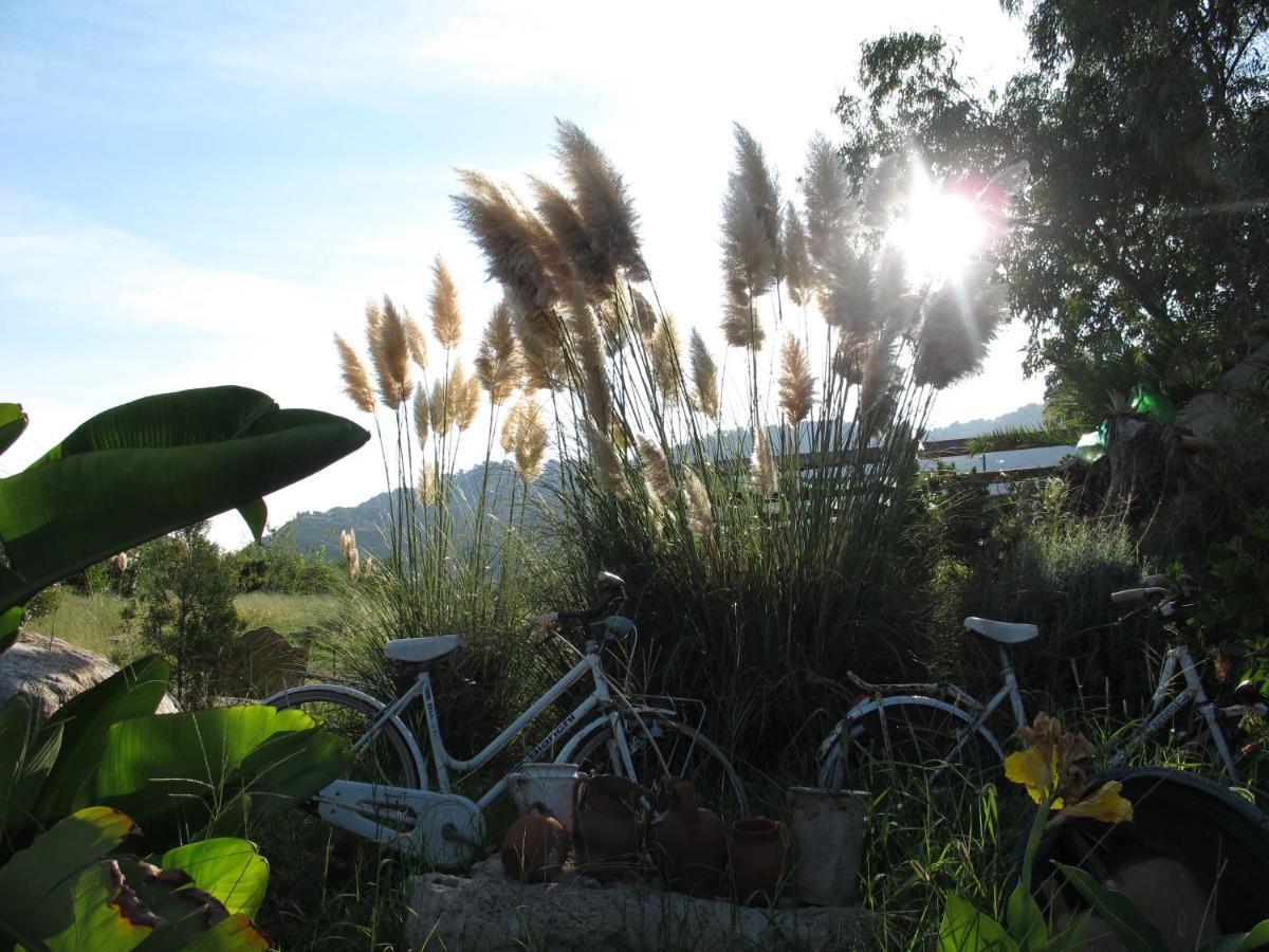 Casa Vacanze Miceli โตรเปอา ภายนอก รูปภาพ